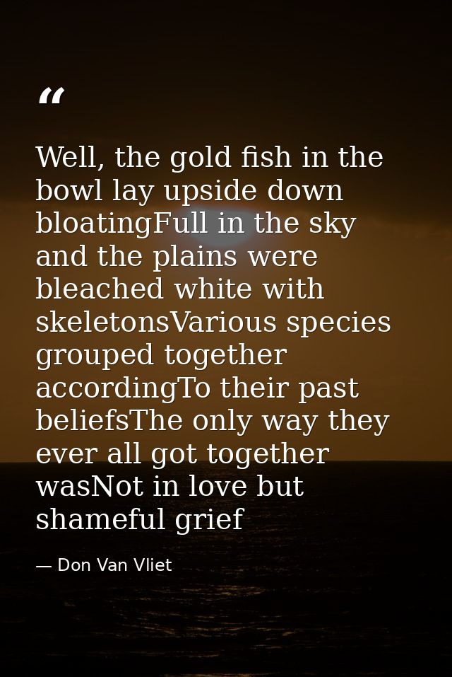 Well, the gold fish in the bowl lay upside down bloatingFull in the sky and the plains were bleached white with skeleton — Don Van Vliet