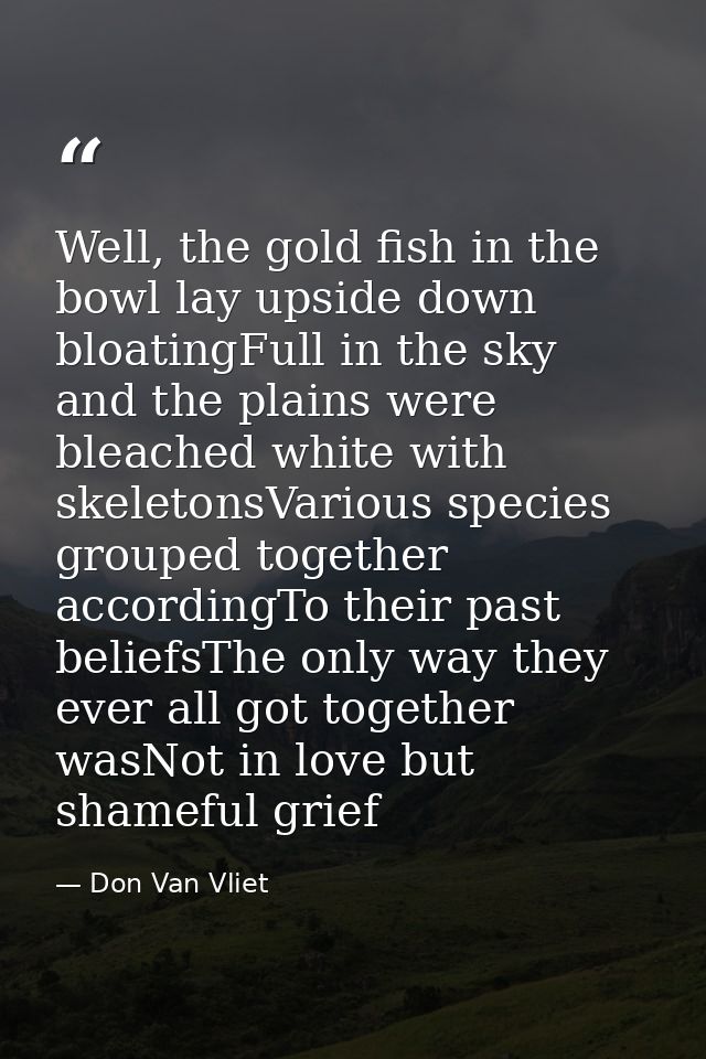 Well, the gold fish in the bowl lay upside down bloatingFull in the sky and the plains were bleached white with skeleton — Don Van Vliet
