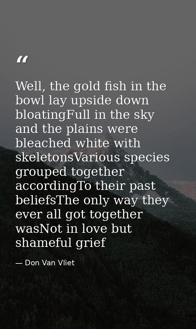 Well, the gold fish in the bowl lay upside down bloatingFull in the sky and the plains were bleached white with skeleton — Don Van Vliet