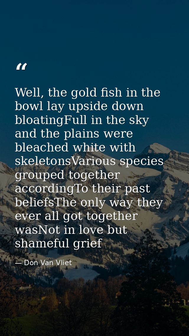 Well, the gold fish in the bowl lay upside down bloatingFull in the sky and the plains were bleached white with skeleton — Don Van Vliet