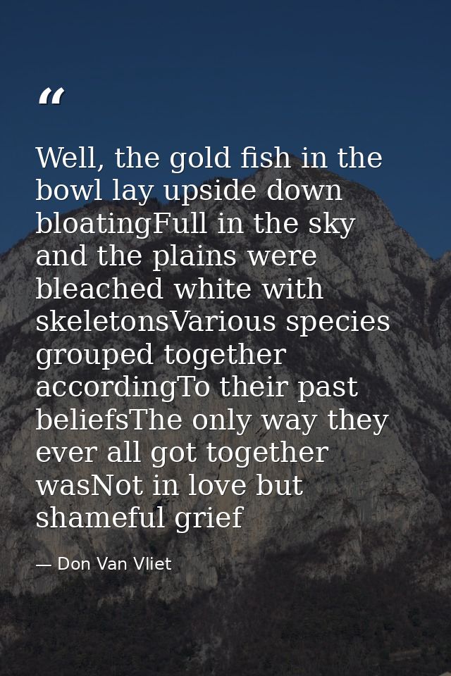 Well, the gold fish in the bowl lay upside down bloatingFull in the sky and the plains were bleached white with skeleton — Don Van Vliet
