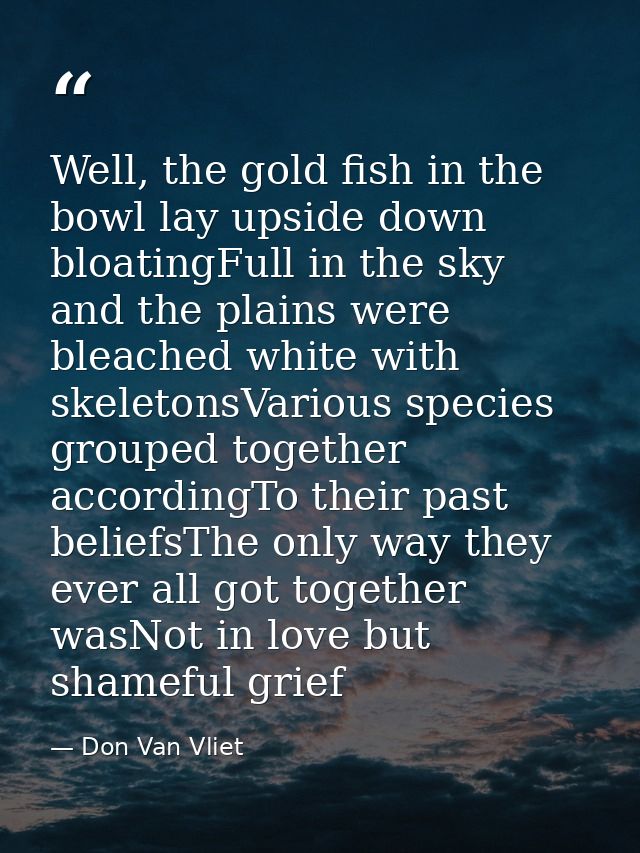 Well, the gold fish in the bowl lay upside down bloatingFull in the sky and the plains were bleached white with skeleton — Don Van Vliet