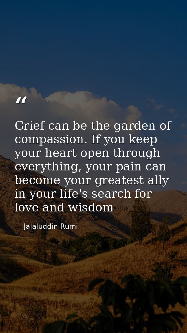 Grief can be the garden of compassion. If you keep your heart open through everything, your pain can become your greates — Jalaluddin Rumi
