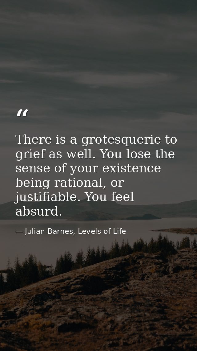 There is a grotesquerie to grief as well. You lose the sense of your existence being rational, or justifiable. You feel  — Julian Barnes, Levels of Life