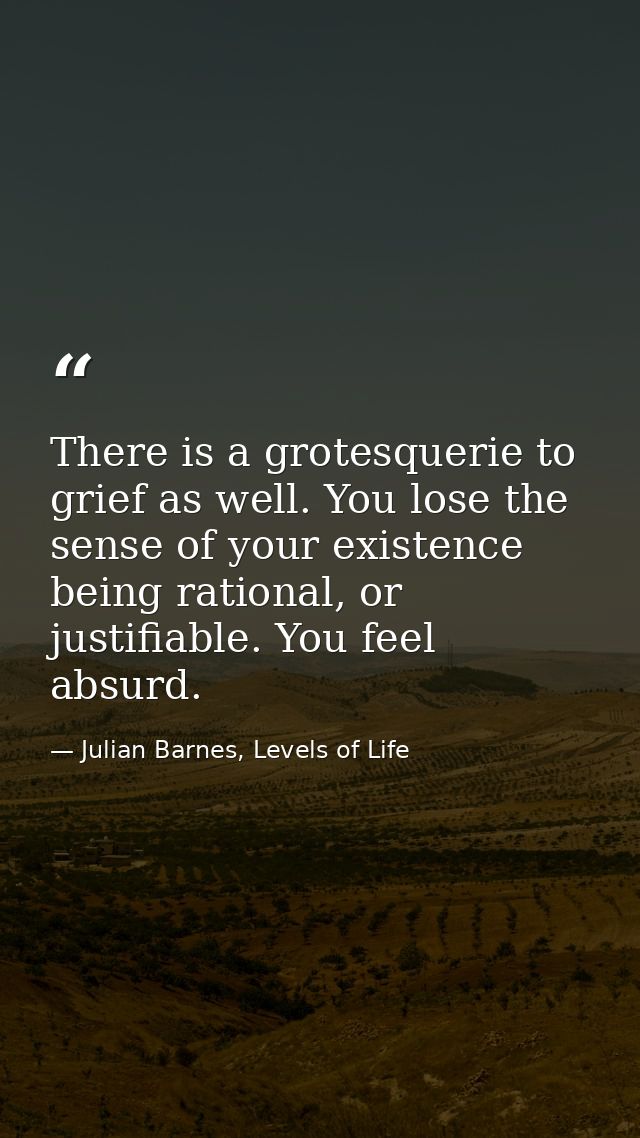 There is a grotesquerie to grief as well. You lose the sense of your existence being rational, or justifiable. You feel  — Julian Barnes, Levels of Life