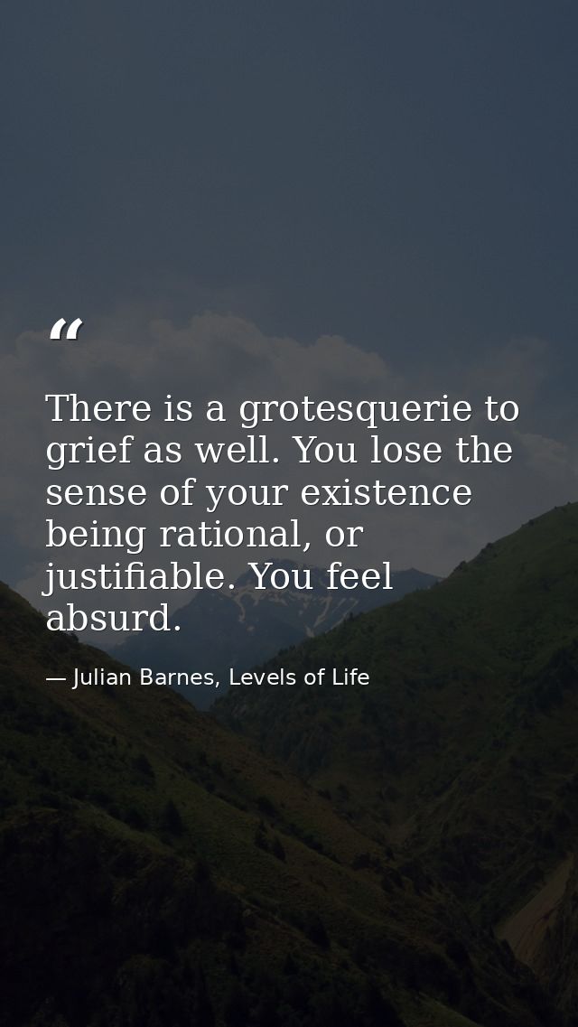 There is a grotesquerie to grief as well. You lose the sense of your existence being rational, or justifiable. You feel  — Julian Barnes, Levels of Life
