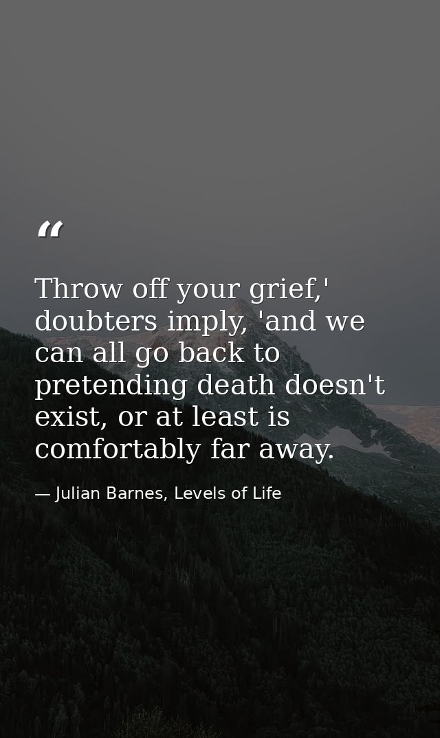 Throw off your grief,' doubters imply, 'and we can all go back to pretending death doesn't exist, or at least is comfort — Julian Barnes, Levels of Life