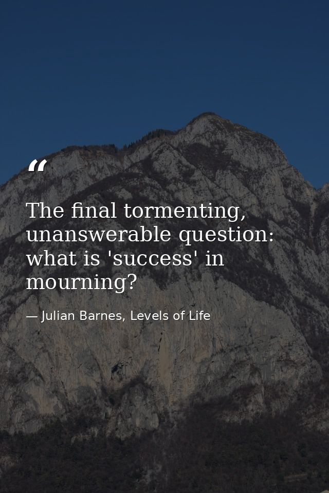 The final tormenting, unanswerable question: what is 'success' in mourning? — Julian Barnes, Levels of Life