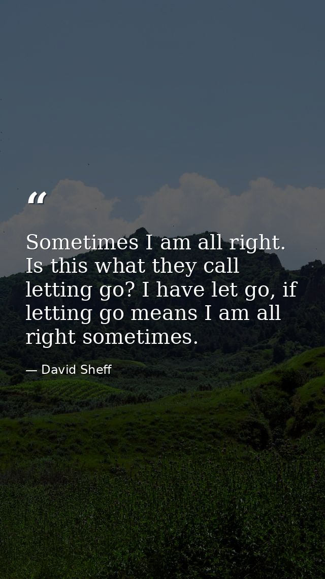 Sometimes I am all right. Is this what they call letting go? I have let go, if letting go means I am all right sometimes — David Sheff