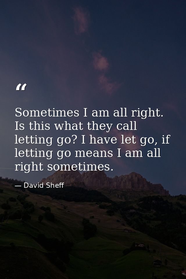 Sometimes I am all right. Is this what they call letting go? I have let go, if letting go means I am all right sometimes — David Sheff