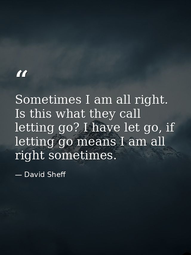 Sometimes I am all right. Is this what they call letting go? I have let go, if letting go means I am all right sometimes — David Sheff