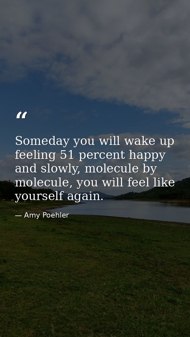 Someday you will wake up feeling 51 percent happy and slowly, molecule by molecule, you will feel like yourself again. — Amy Poehler