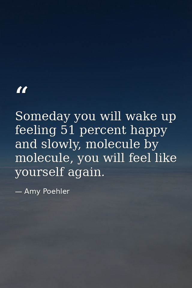 Someday you will wake up feeling 51 percent happy and slowly, molecule by molecule, you will feel like yourself again. — Amy Poehler