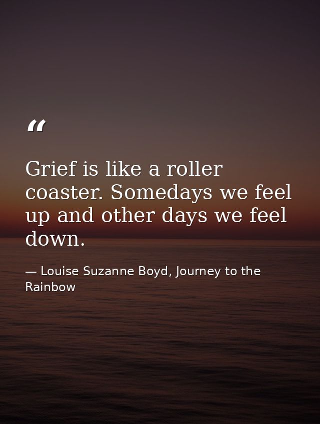 Grief is like a roller coaster. Somedays we feel up and other days we feel down. — Louise Suzanne Boyd, Journey to the Rainbow