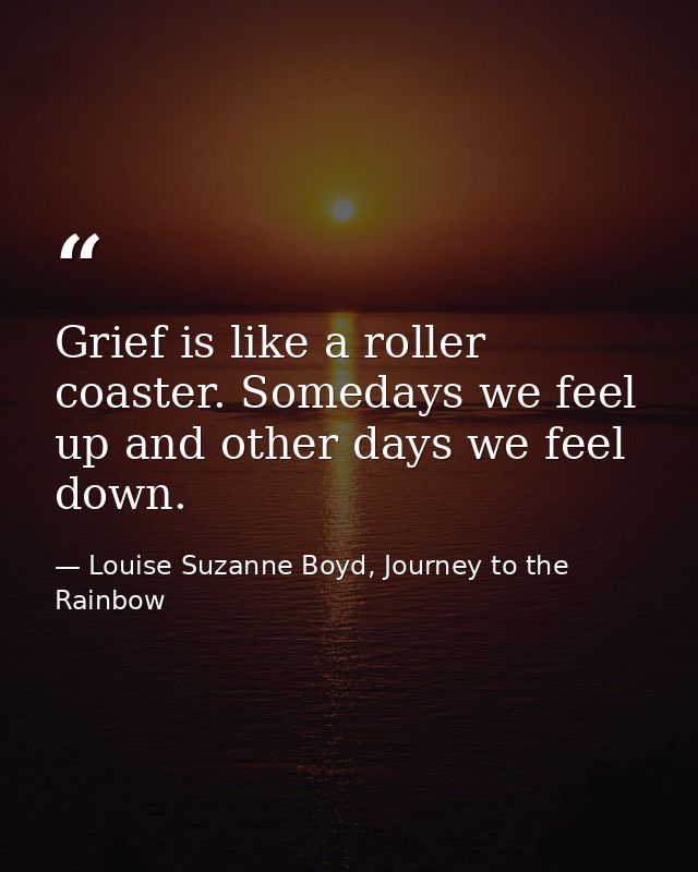 Grief is like a roller coaster. Somedays we feel up and other days we feel down. — Louise Suzanne Boyd, Journey to the Rainbow