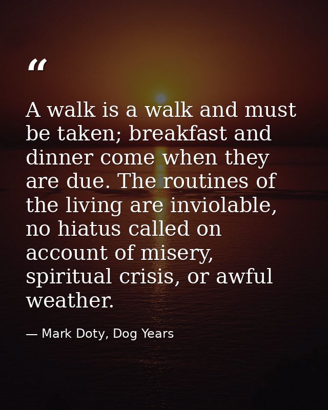 A walk is a walk and must be taken; breakfast and dinner come when they are due. The routines of the living are inviolab — Mark Doty, Dog Years