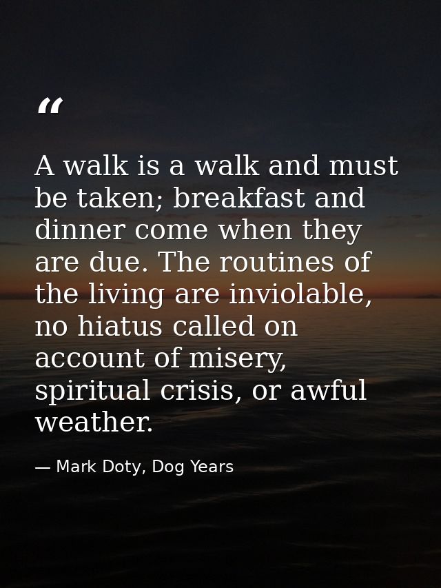 A walk is a walk and must be taken; breakfast and dinner come when they are due. The routines of the living are inviolab — Mark Doty, Dog Years
