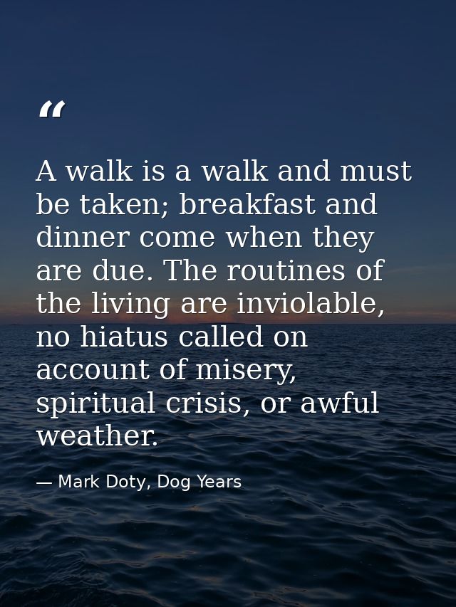 A walk is a walk and must be taken; breakfast and dinner come when they are due. The routines of the living are inviolab — Mark Doty, Dog Years