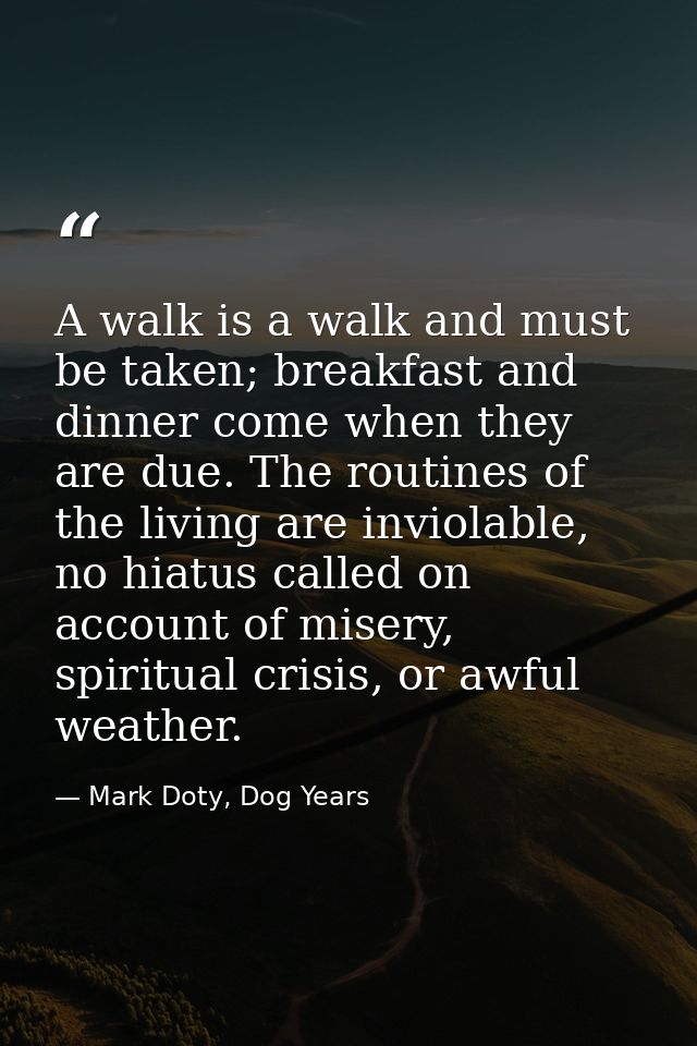 A walk is a walk and must be taken; breakfast and dinner come when they are due. The routines of the living are inviolab — Mark Doty, Dog Years