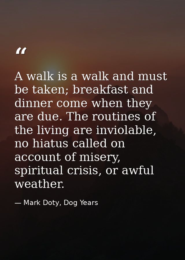 A walk is a walk and must be taken; breakfast and dinner come when they are due. The routines of the living are inviolab — Mark Doty, Dog Years