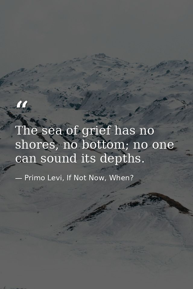 The sea of grief has no shores, no bottom; no one can sound its depths. — Primo Levi, If Not Now, When?