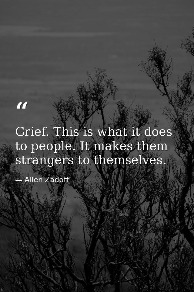 Grief. This is what it does to people. It makes them strangers to themselves. — Allen Zadoff