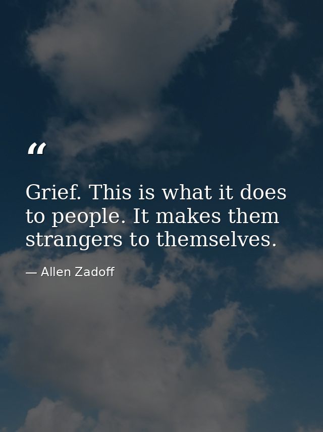 Grief. This is what it does to people. It makes them strangers to themselves. — Allen Zadoff