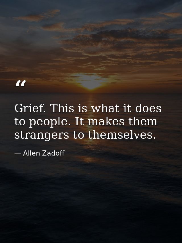 Grief. This is what it does to people. It makes them strangers to themselves. — Allen Zadoff