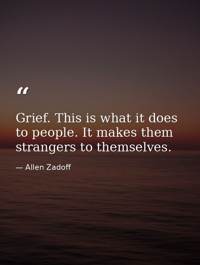 Grief. This is what it does to people. It makes them strangers to themselves. — Allen Zadoff