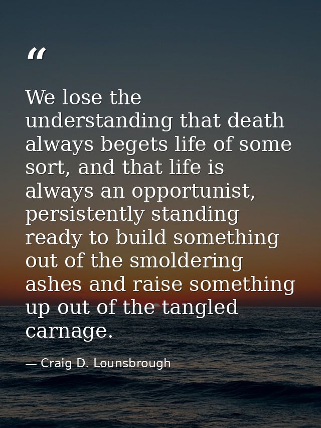 We lose the understanding that death always begets life of some sort, and that life is always an opportunist, persistent — Craig D. Lounsbrough