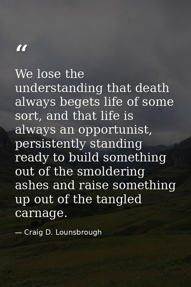 We lose the understanding that death always begets life of some sort, and that life is always an opportunist, persistent — Craig D. Lounsbrough