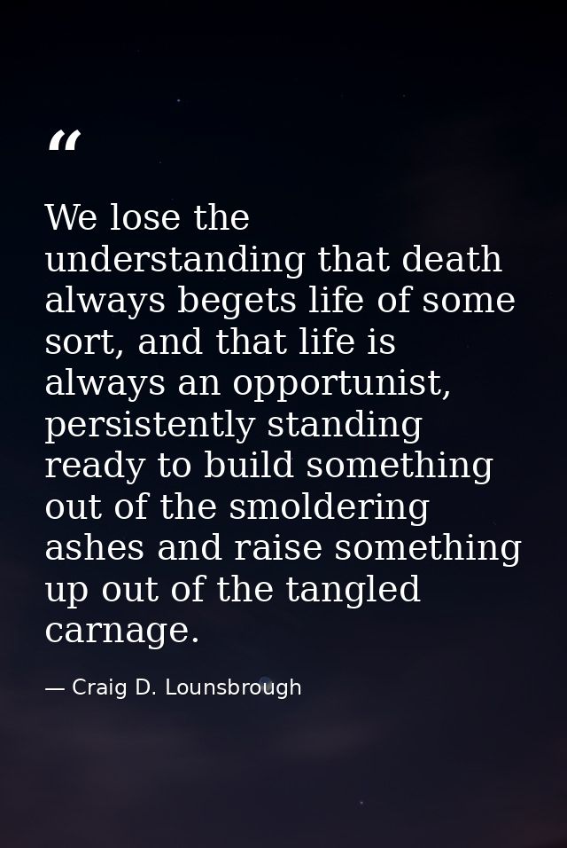 We lose the understanding that death always begets life of some sort, and that life is always an opportunist, persistent — Craig D. Lounsbrough