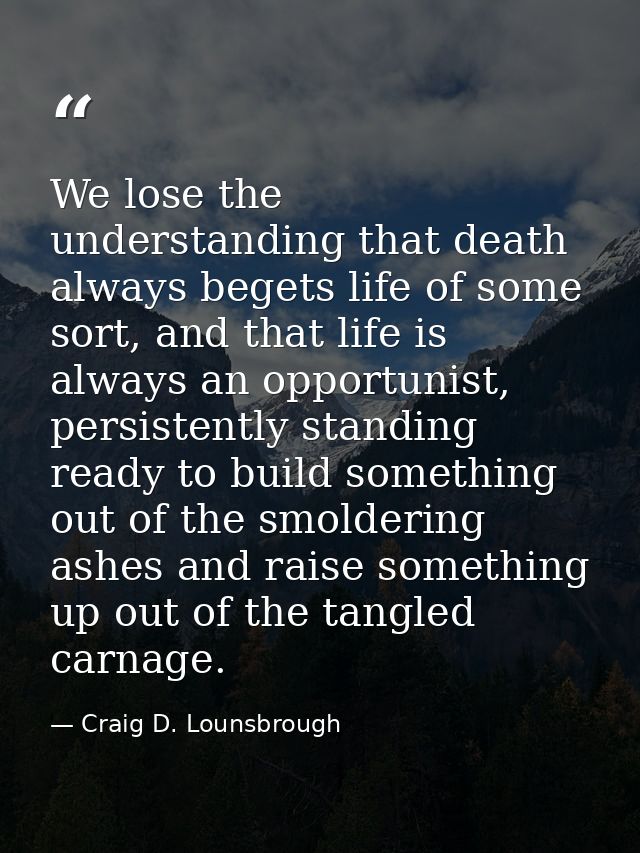 We lose the understanding that death always begets life of some sort, and that life is always an opportunist, persistent — Craig D. Lounsbrough