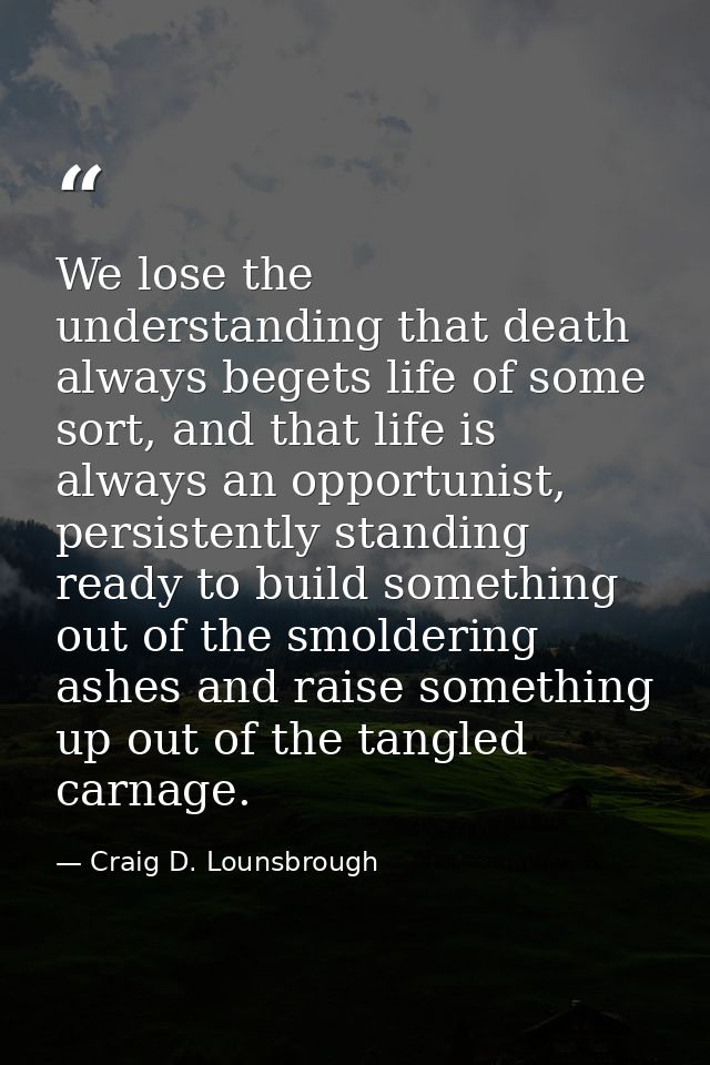 We lose the understanding that death always begets life of some sort, and that life is always an opportunist, persistent — Craig D. Lounsbrough