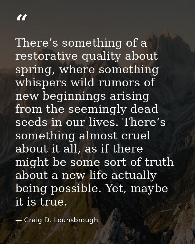 There’s something of a restorative quality about spring, where something whispers wild rumors of new beginnings arising  — Craig D. Lounsbrough