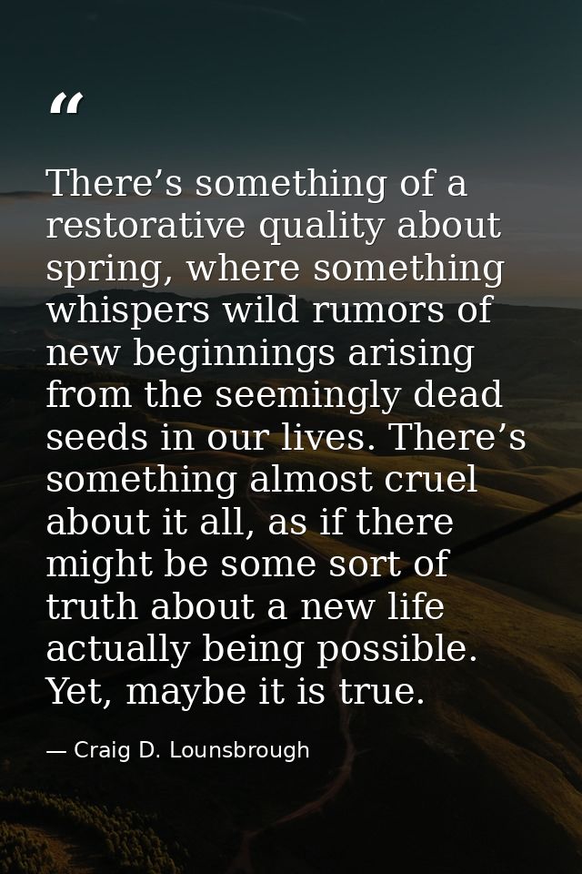 There’s something of a restorative quality about spring, where something whispers wild rumors of new beginnings arising  — Craig D. Lounsbrough