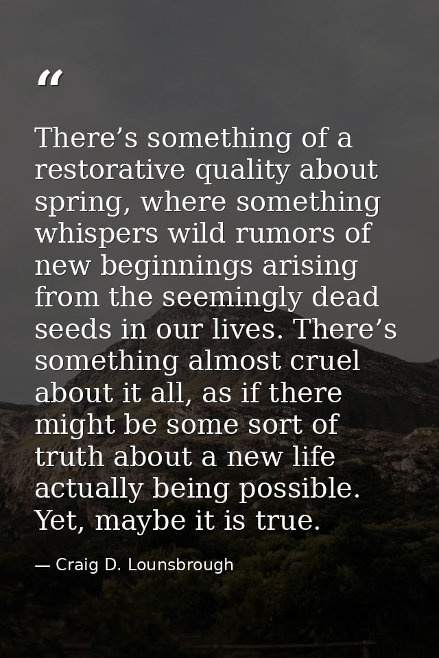 There’s something of a restorative quality about spring, where something whispers wild rumors of new beginnings arising  — Craig D. Lounsbrough
