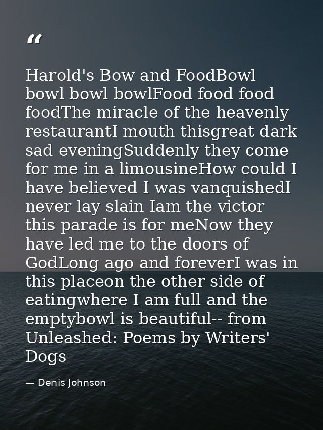 Harold's Bow and FoodBowl bowl bowl bowlFood food food foodThe miracle of the heavenly restaurantI mouth thisgreat dark  — Denis Johnson