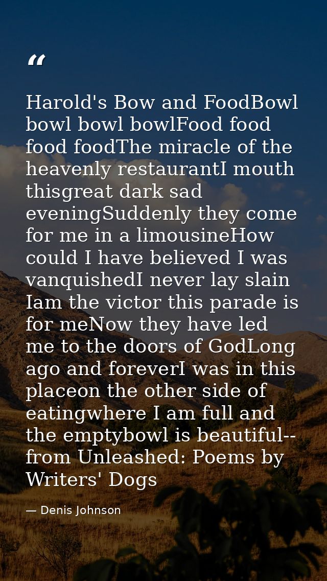 Harold's Bow and FoodBowl bowl bowl bowlFood food food foodThe miracle of the heavenly restaurantI mouth thisgreat dark  — Denis Johnson