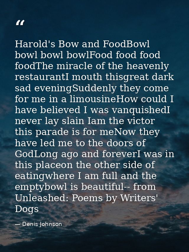 Harold's Bow and FoodBowl bowl bowl bowlFood food food foodThe miracle of the heavenly restaurantI mouth thisgreat dark  — Denis Johnson