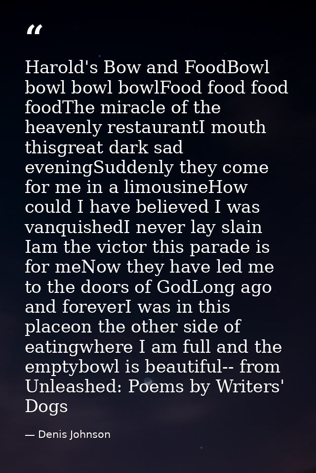 Harold's Bow and FoodBowl bowl bowl bowlFood food food foodThe miracle of the heavenly restaurantI mouth thisgreat dark  — Denis Johnson
