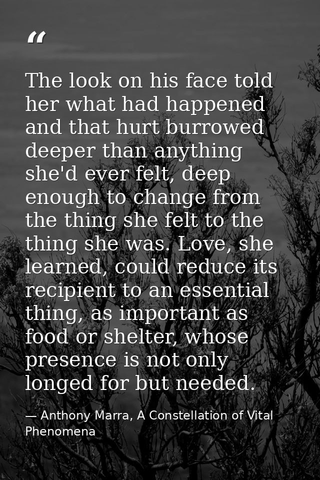 The look on his face told her what had happened and that hurt burrowed deeper than anything she'd ever felt, deep enough — Anthony Marra, A Constellation of Vital Phenomena