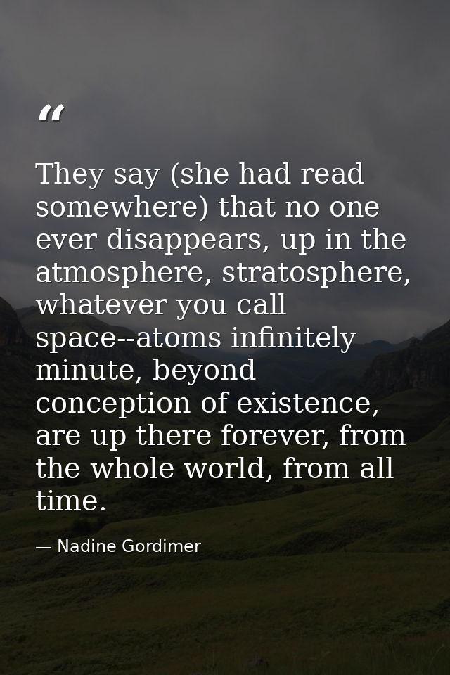 They say (she had read somewhere) that no one ever disappears, up in the atmosphere, stratosphere, whatever you call spa — Nadine Gordimer