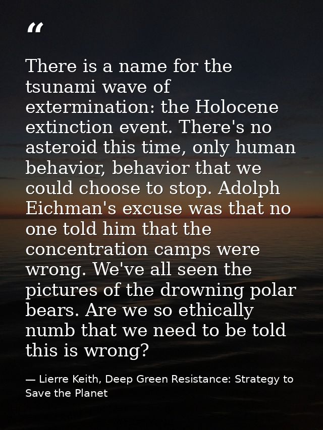 There is a name for the tsunami wave of extermination: the Holocene extinction event. There's no asteroid this time, onl — Lierre Keith, Deep Green Resistance: Strategy to Save the Planet