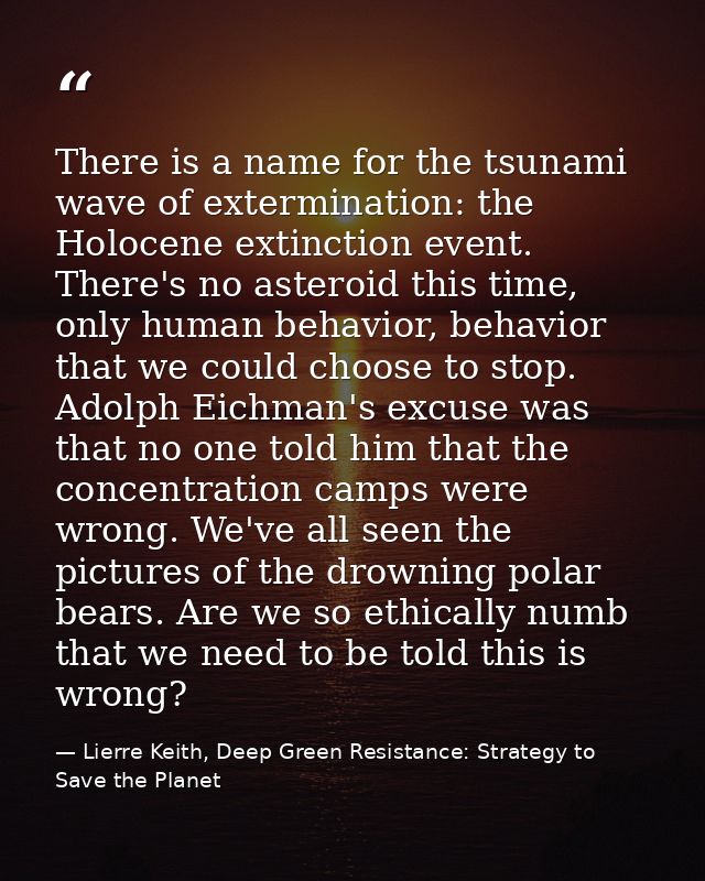 There is a name for the tsunami wave of extermination: the Holocene extinction event. There's no asteroid this time, onl — Lierre Keith, Deep Green Resistance: Strategy to Save the Planet
