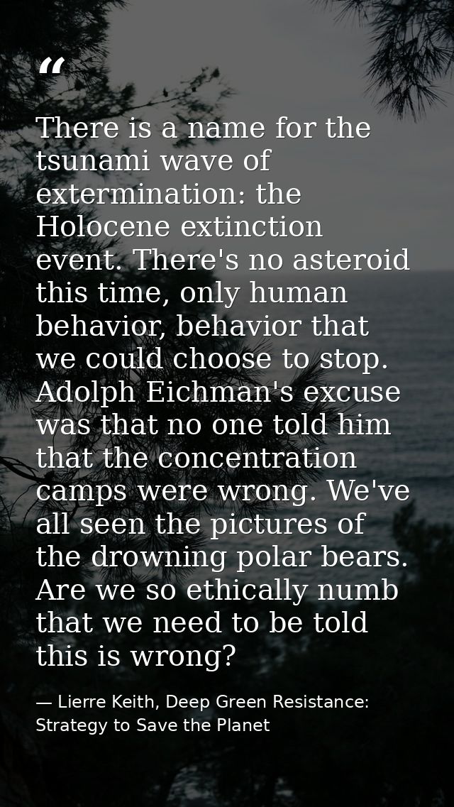 There is a name for the tsunami wave of extermination: the Holocene extinction event. There's no asteroid this time, onl — Lierre Keith, Deep Green Resistance: Strategy to Save the Planet