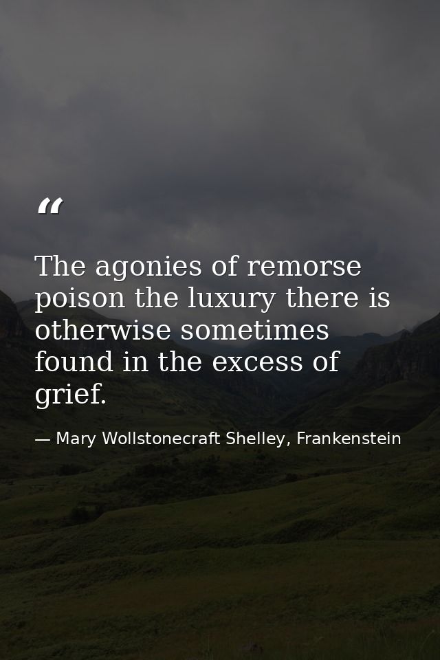 The agonies of remorse poison the luxury there is otherwise sometimes found in the excess of grief. — Mary Wollstonecraft Shelley, Frankenstein