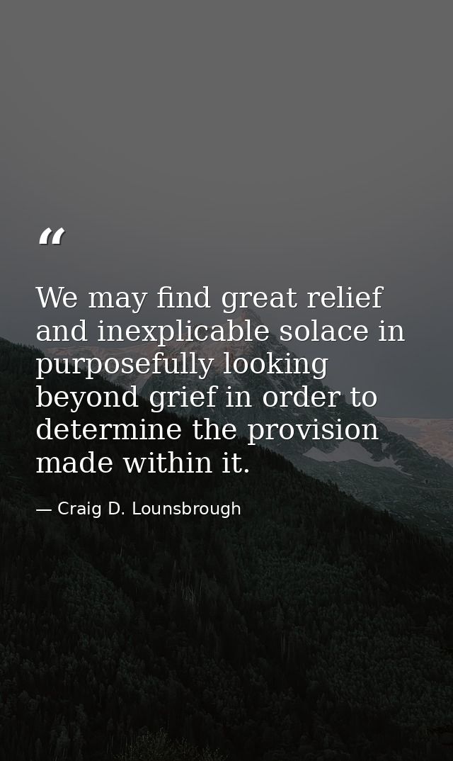 We may find great relief and inexplicable solace in purposefully looking beyond grief in order to determine the provisio — Craig D. Lounsbrough
