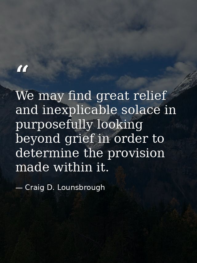We may find great relief and inexplicable solace in purposefully looking beyond grief in order to determine the provisio — Craig D. Lounsbrough