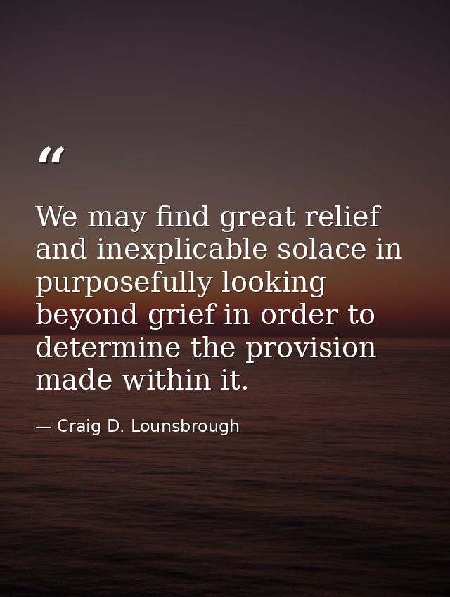 We may find great relief and inexplicable solace in purposefully looking beyond grief in order to determine the provisio — Craig D. Lounsbrough